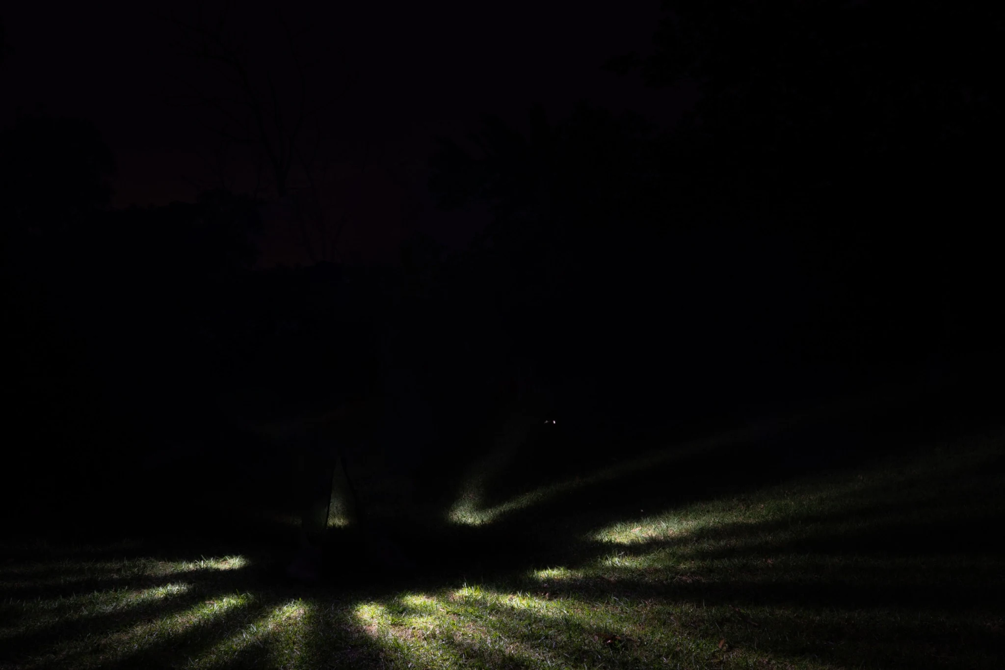 Dark figure standing in field with rays of light